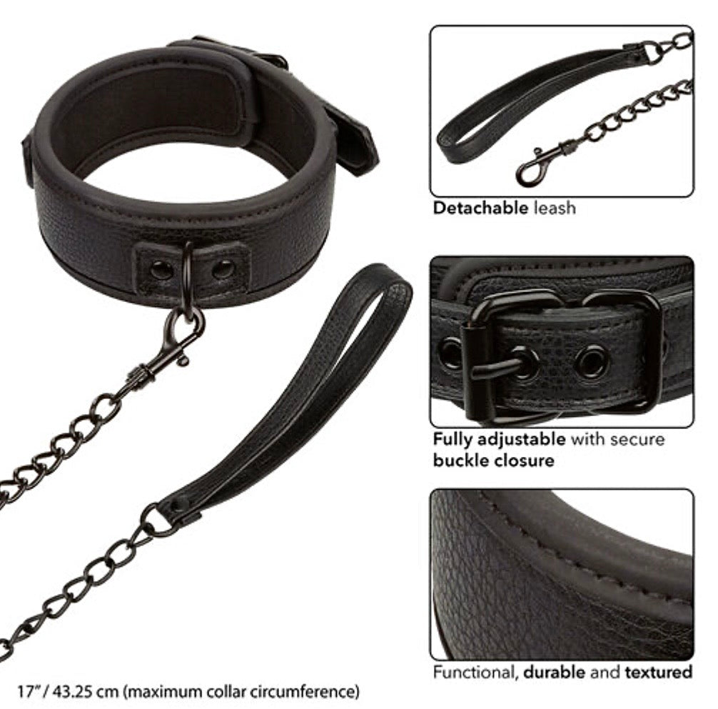 Calexotics: Collar y correa de cuero