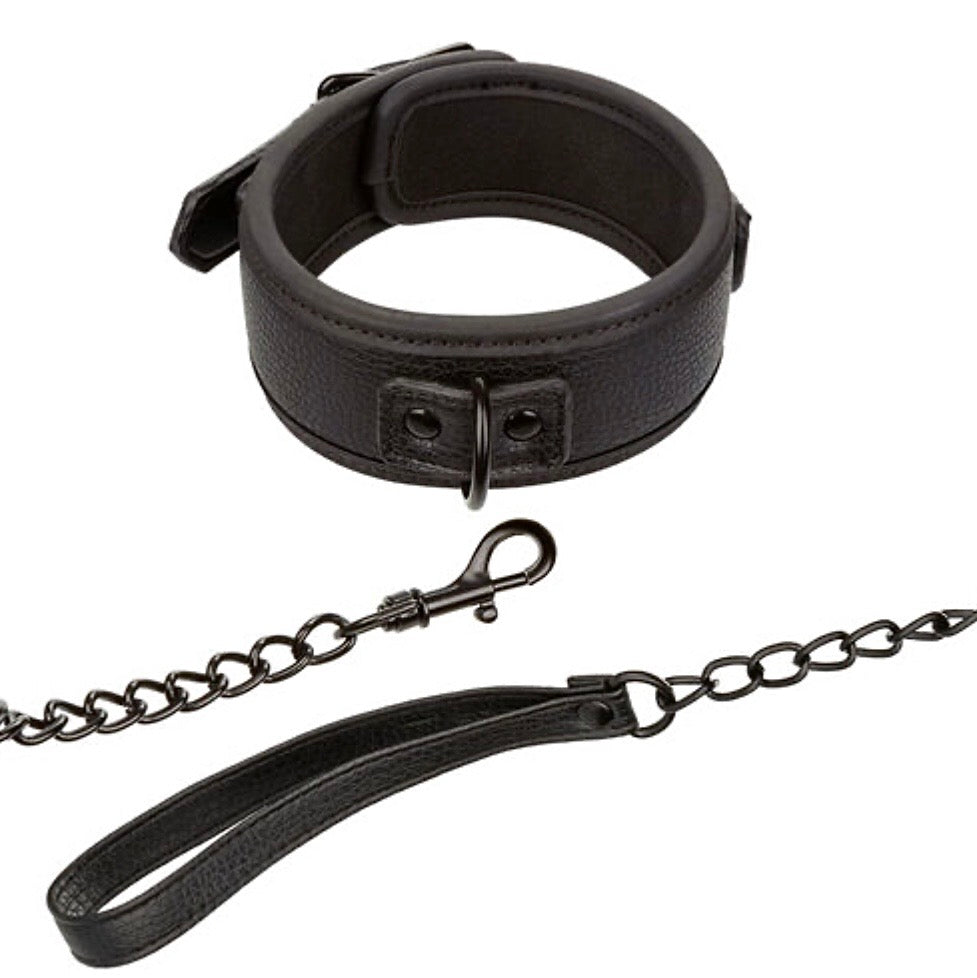 Calexotics: Collar y correa de cuero