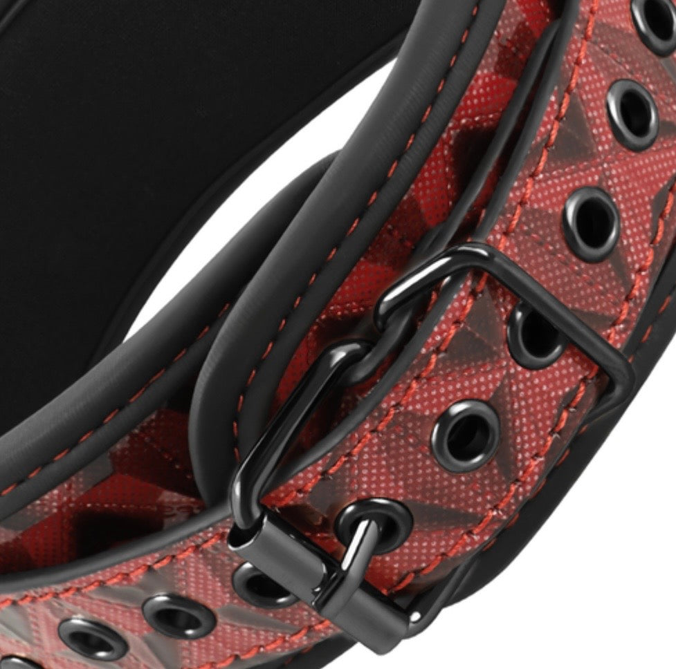 BEGME - Collar Bondage con pinzas pezones